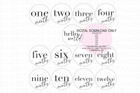 Reviewing 1-12 SVG Baby Milestones Disc